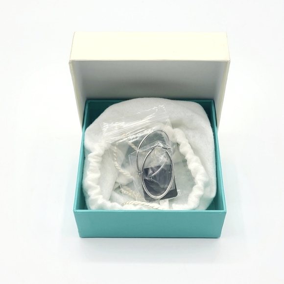 Chisel Stainless Steel Polished Silver Oval Hoop Earrings - Picture 5 of 5